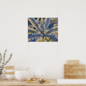 Poster Frost sur arbre à feuillage persistant, Homer, Ala (Cuisine)