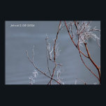 Poster Frosted Bush<br><div class="desc">Winter frosting 2026</div>