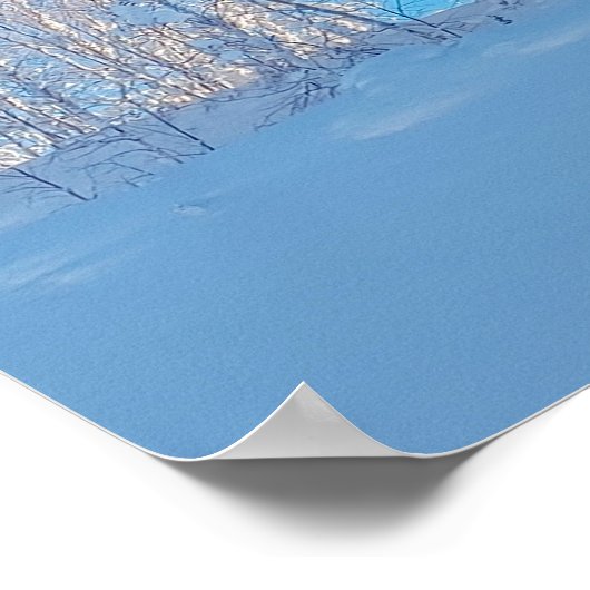 Poster Frosted Trees (Coin)