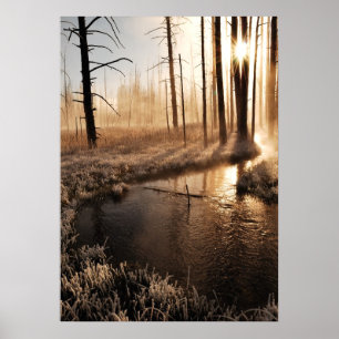 Poster Frosty Yellowstone Morning