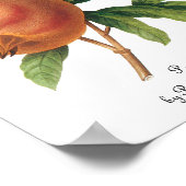 Poster Fruit alimentaire vintage, grenade de Redoute (Coin)