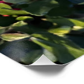 Poster Fruit d'automne (Coin)