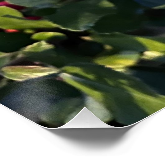 Poster Fruit d'automne (Coin)