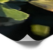 Poster Fruit d'automne (Coin)