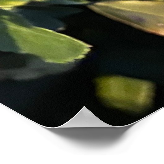 Poster Fruit d'automne (Coin)