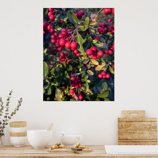 Poster Fruit d'automne (Cuisine)