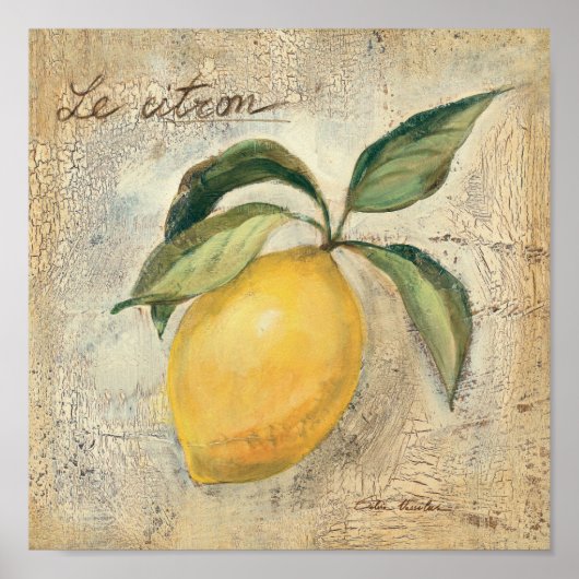 Poster Fruit de citron jaune (Devant)