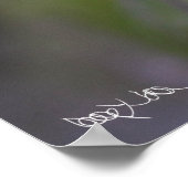 Poster Fruit de clarté (Coin)