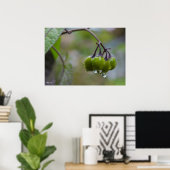 Poster Fruit de clarté (Bureau à domicile)