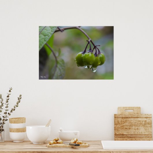 Poster Fruit de clarté (Cuisine)