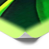 Poster Fruit de dragon exotique (Coin)