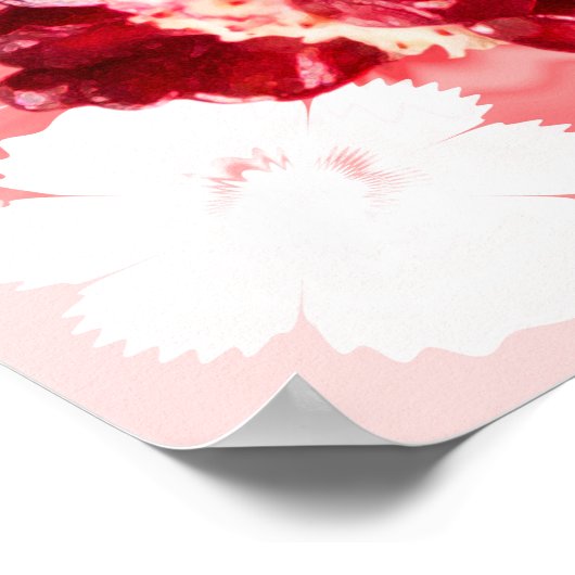 Poster Fruit de grenade rubis (Coin)