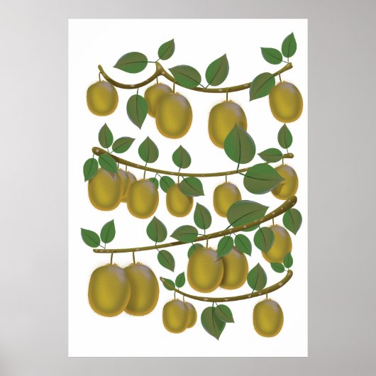 Poster Fruit de kiwi (Devant)