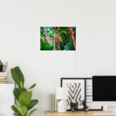 Poster Fruit de palmier à Hawaii (Bureau à domicile)