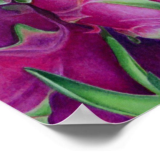 Poster Fruit dragon (Coin)