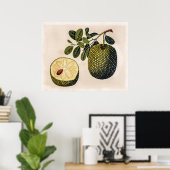 Poster Fruit et feuillage durian (Bureau à domicile)