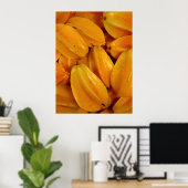 Poster Fruit étoile tropicale (Bureau à domicile)