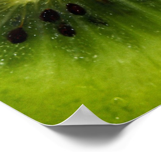 Poster Fruit Kiwi (Coin)