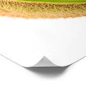 Poster Fruit kiwi vert (Coin)