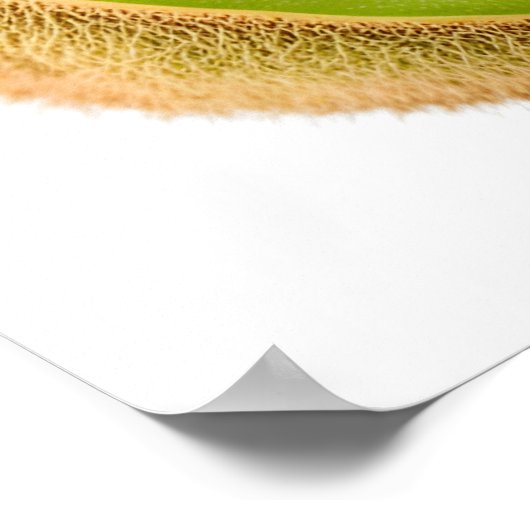 Poster Fruit kiwi vert (Coin)