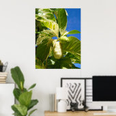 Poster Fruit non i non traité (Bureau à domicile)