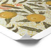 Poster Fruit ou grenate de pomes (Coin)