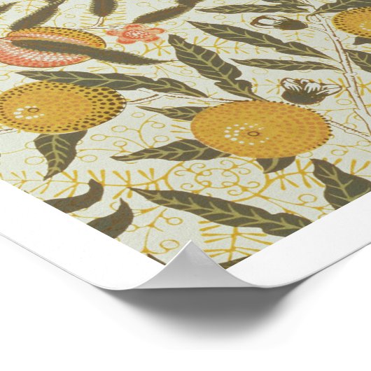 Poster Fruit ou grenate de pomes (Coin)