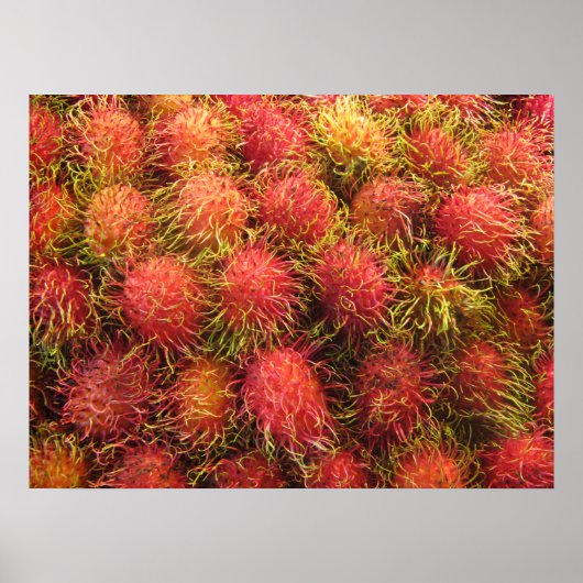 Poster Fruit tropical rambutan (Devant)