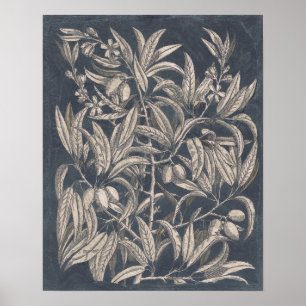 Poster Fruit vintage et I floral