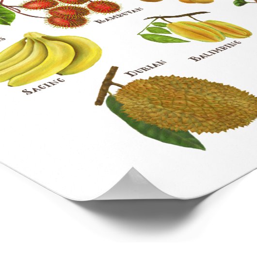 Poster Fruits aux Philippines (Coin)
