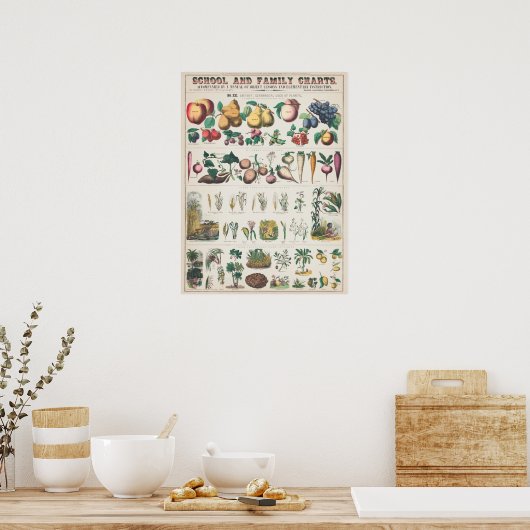 Poster Fruits botaniques vintages (Cuisine)