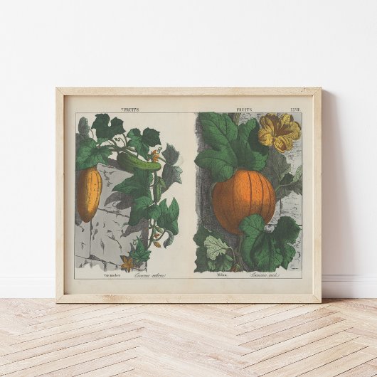 Poster Fruits | Charlotte Mary Yonge