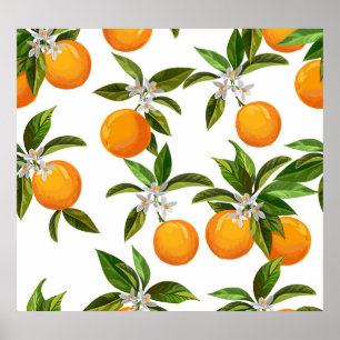 Poster Fruits d'agrumes : Illustration numérique Vintage