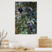 Poster fruits de brousse (Cuisine)
