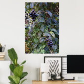 Poster fruits de brousse (Bureau à domicile)