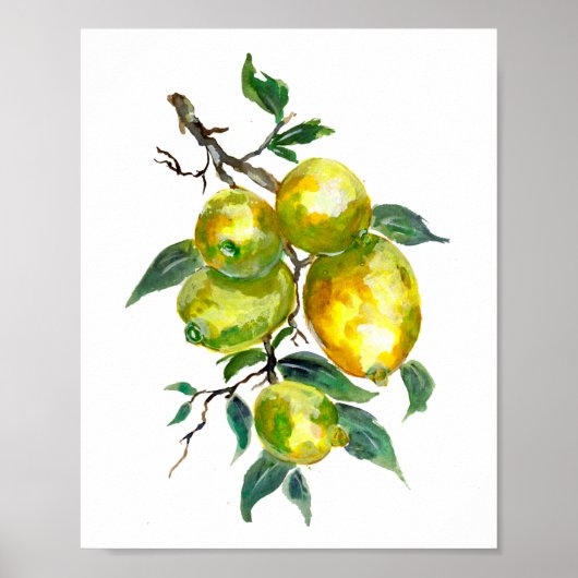 Poster Fruits de citron suspendus à une branche d'arbre (Devant)