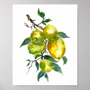 Poster Fruits de citron suspendus d'une branche d'arbre
