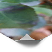 Poster fruits de l'automne (Coin)