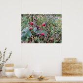 Poster fruits de l'automne (Cuisine)