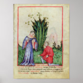 Poster Fruits de Mandrake, de 'Tacuinum Sanitatis' (Devant)