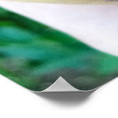 Poster Fruits de melon de Pepino (Coin)