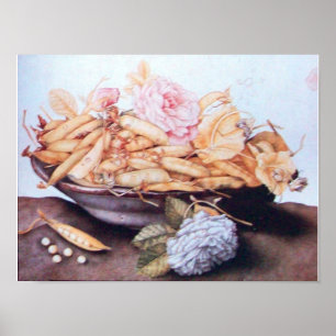 POSTER FRUITS DE SAISON 6 - HARICOTS ET ROSES