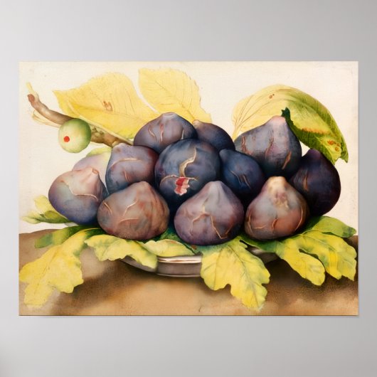 POSTER FRUITS DE SAISON / ASSIETTE DE FIGUES ET FEUILLES (Devant)