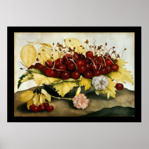 POSTER FRUITS DE SAISON / CERISES ET ŒILLETS