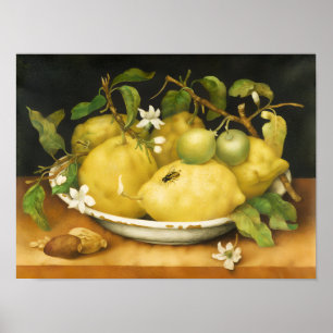 POSTER FRUITS DE SAISON CITRONS ET FLEURS BLANCHES