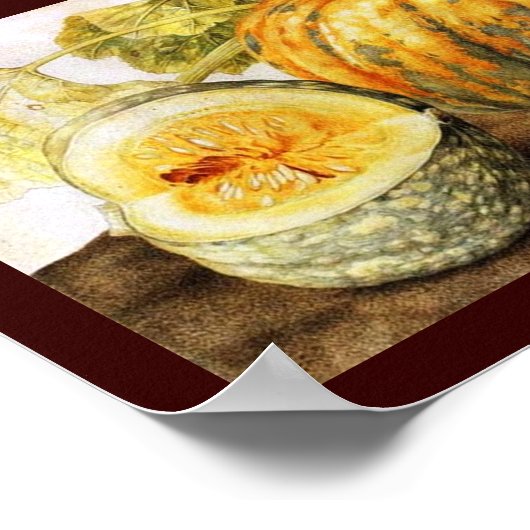 POSTER FRUITS DE SAISON / CITROUILLE (Coin)