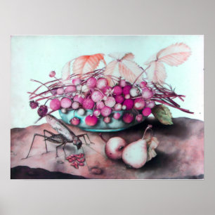 POSTER FRUITS DE SAISON / FRAISES ET PEURS