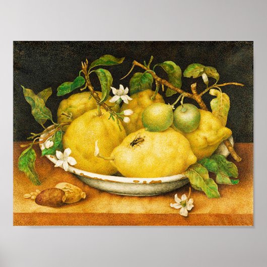 POSTER FRUITS DE SAISON LÉMONS ET FLEURS BLANCHES (Devant)