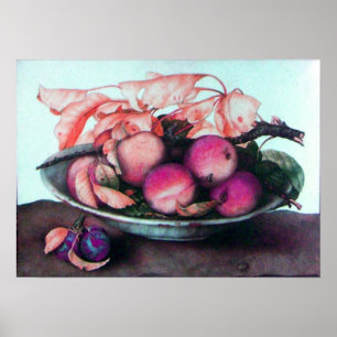 POSTER FRUITS DE SAISON / PÊCHES ET PRUNES