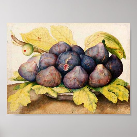 POSTER FRUITS DE SAISON / PLAQUE AUX FIGUES ET FEUILLES V (Devant)